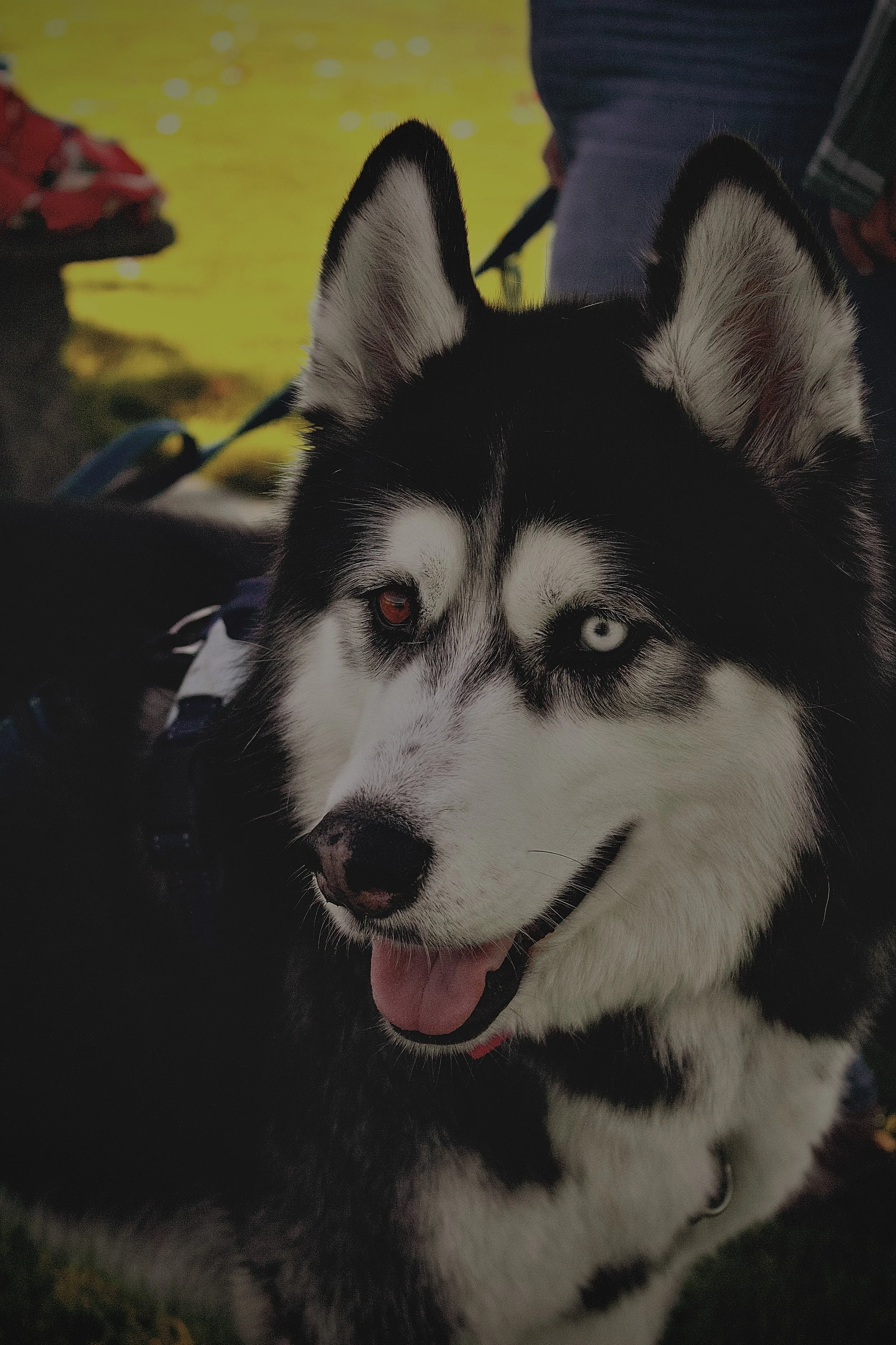 31-IMG_2453.jpg