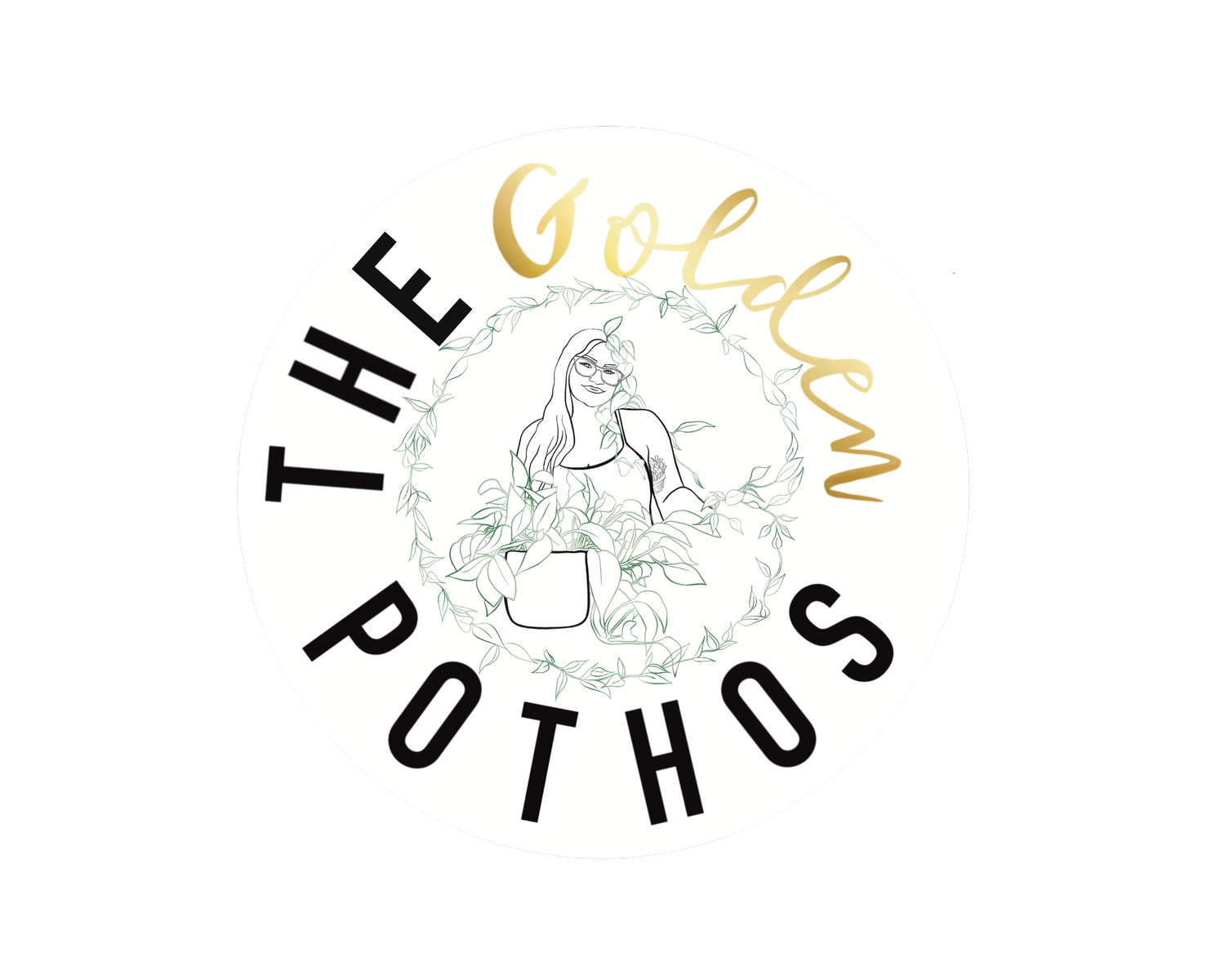 The Golden Pothos
