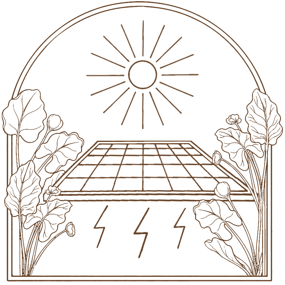Solar panels 