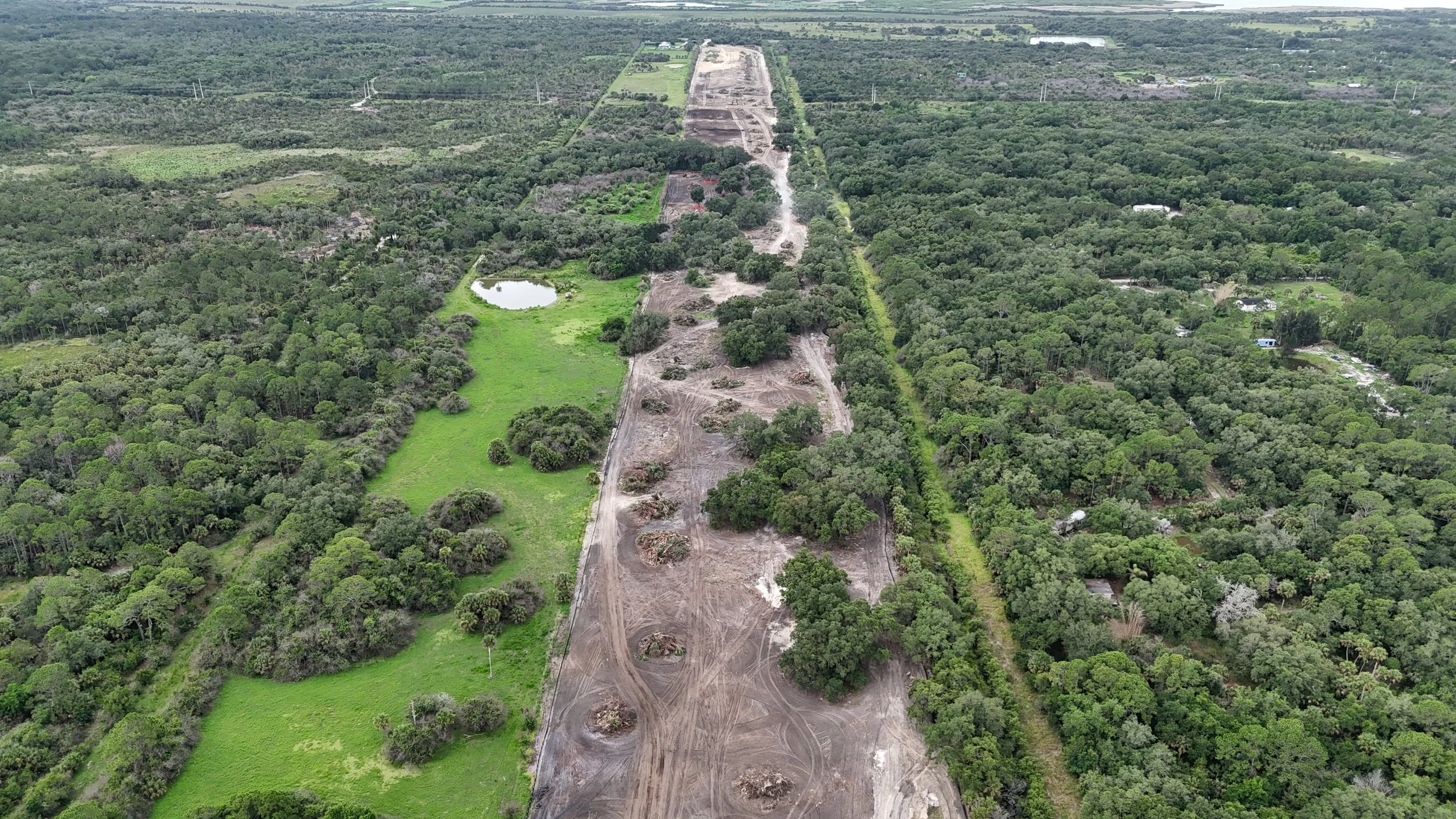 An aerial view of a forested area with a large section of land being cleared, lined with trees and a small pond nearby, and some houses on the right side in a rural setting.