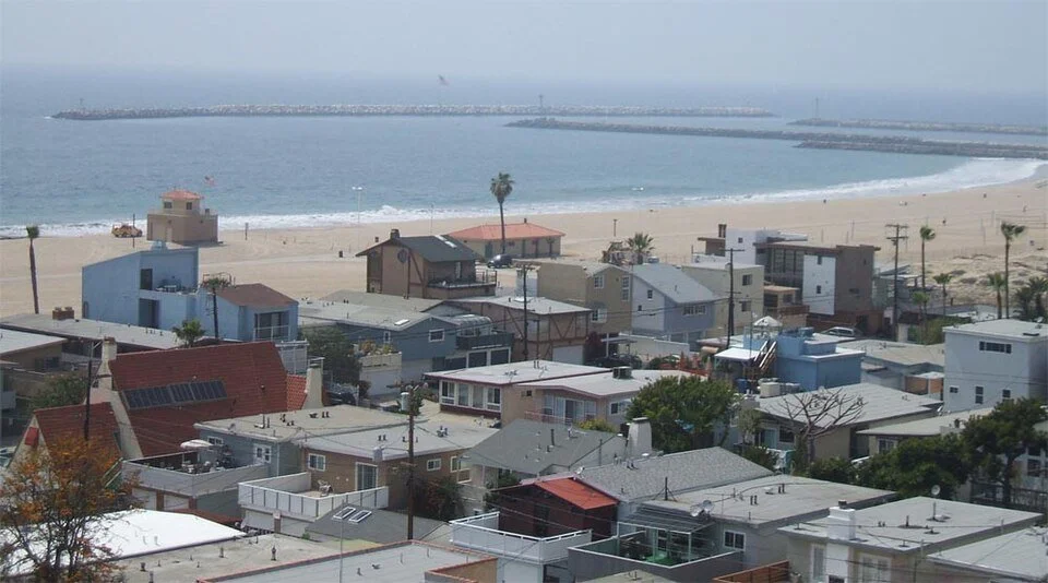 Playa Del Rey Jungle.jpg