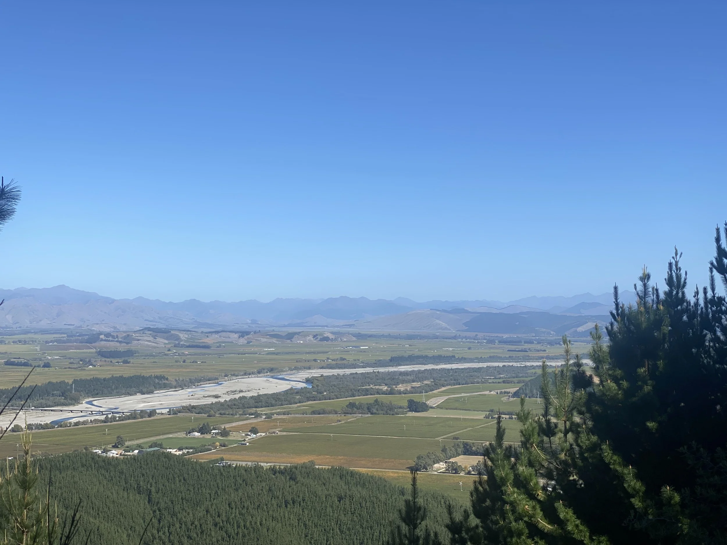 A scenic view of a wide valley with fields, a river, and distant mountains under a clear blue sky, with trees in the foreground.
