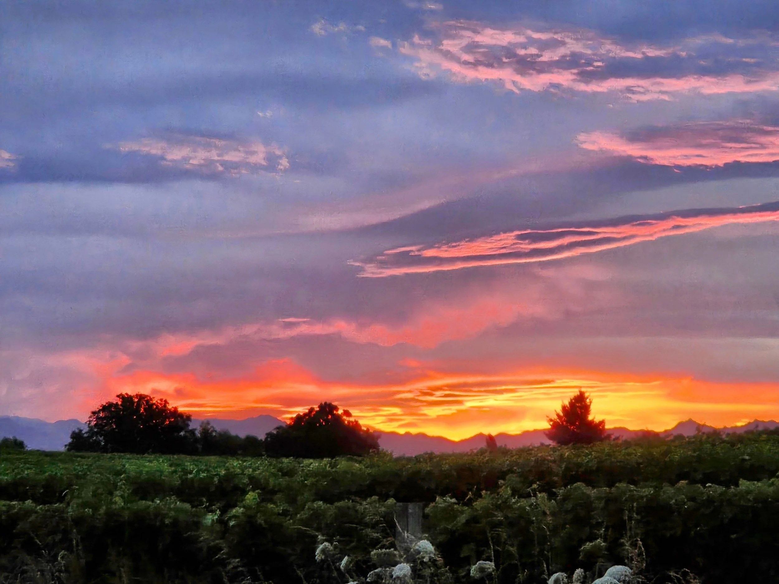 A colorful sunset sky with shades of pink, purple, and orange, silhouetted trees, and distant mountains in the background.
