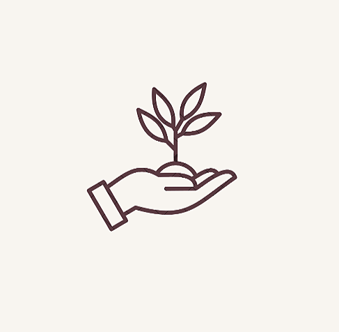 Illustration of a hand holding a small plant with three leaves.