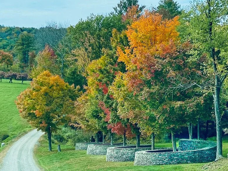 Was someone concerned the trees might try to escape? Pennsylvania