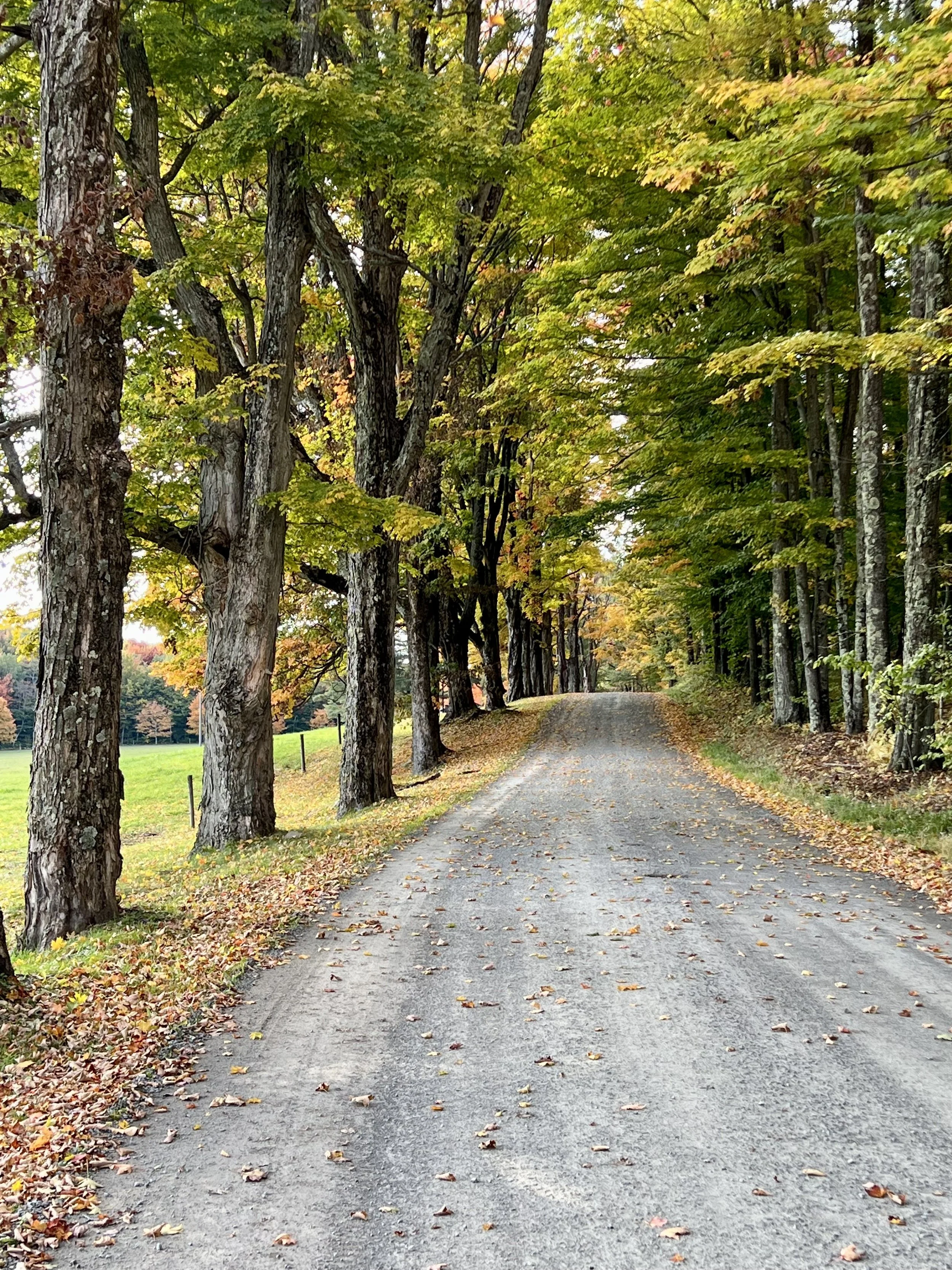 Fall traffic Pennsylvania