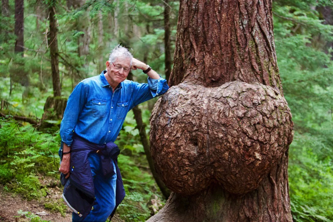 Turn your head and cough. Bainbridge Island, Washington State