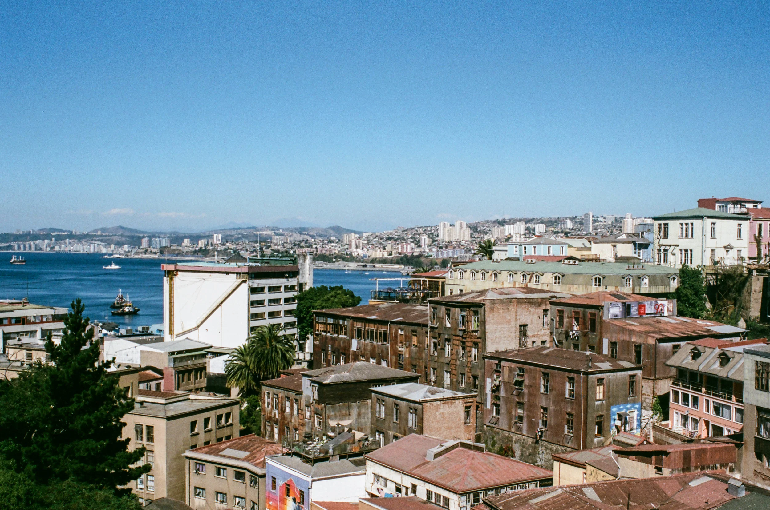 Scan60.jpg