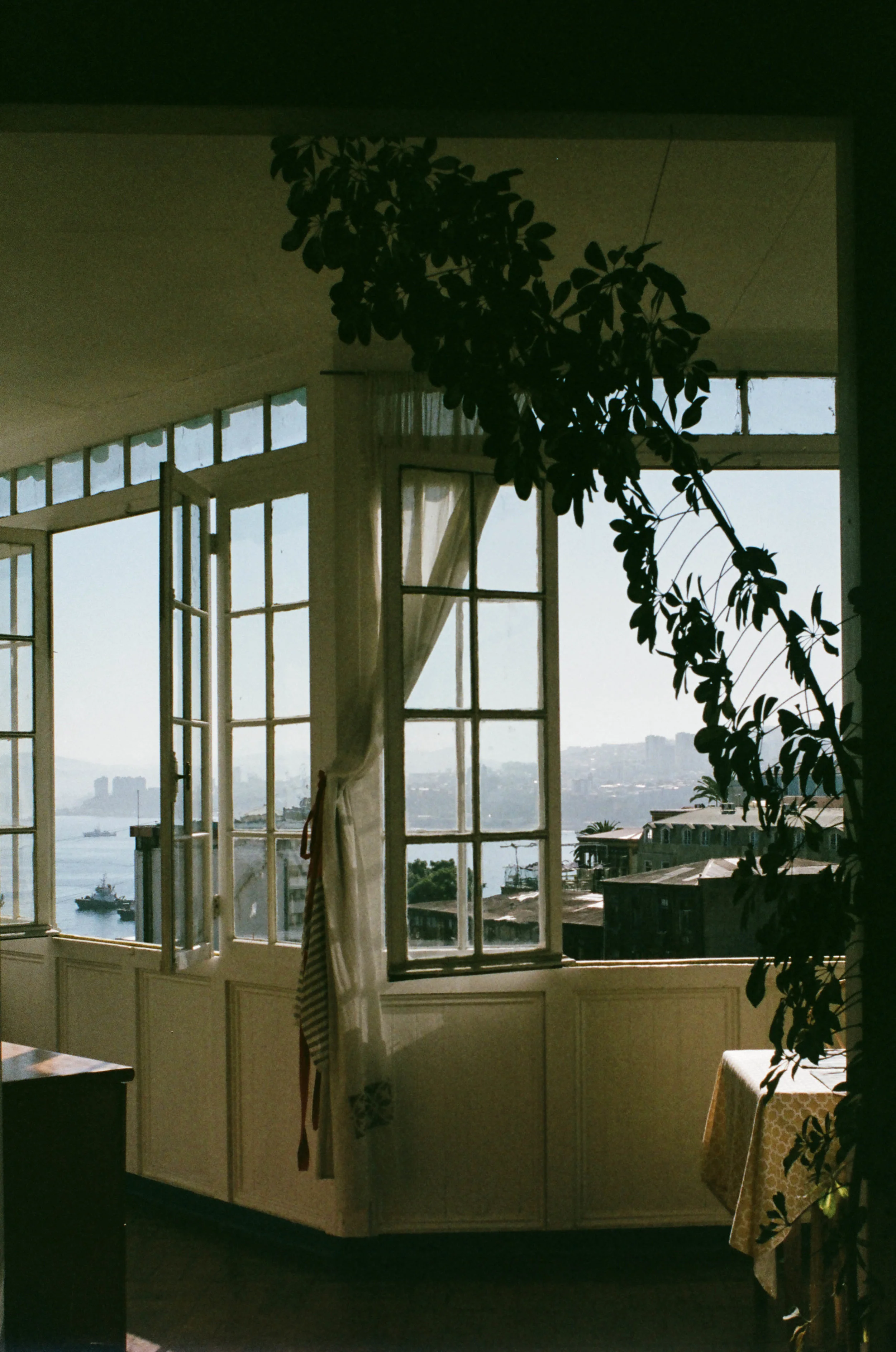 Scan47.jpg