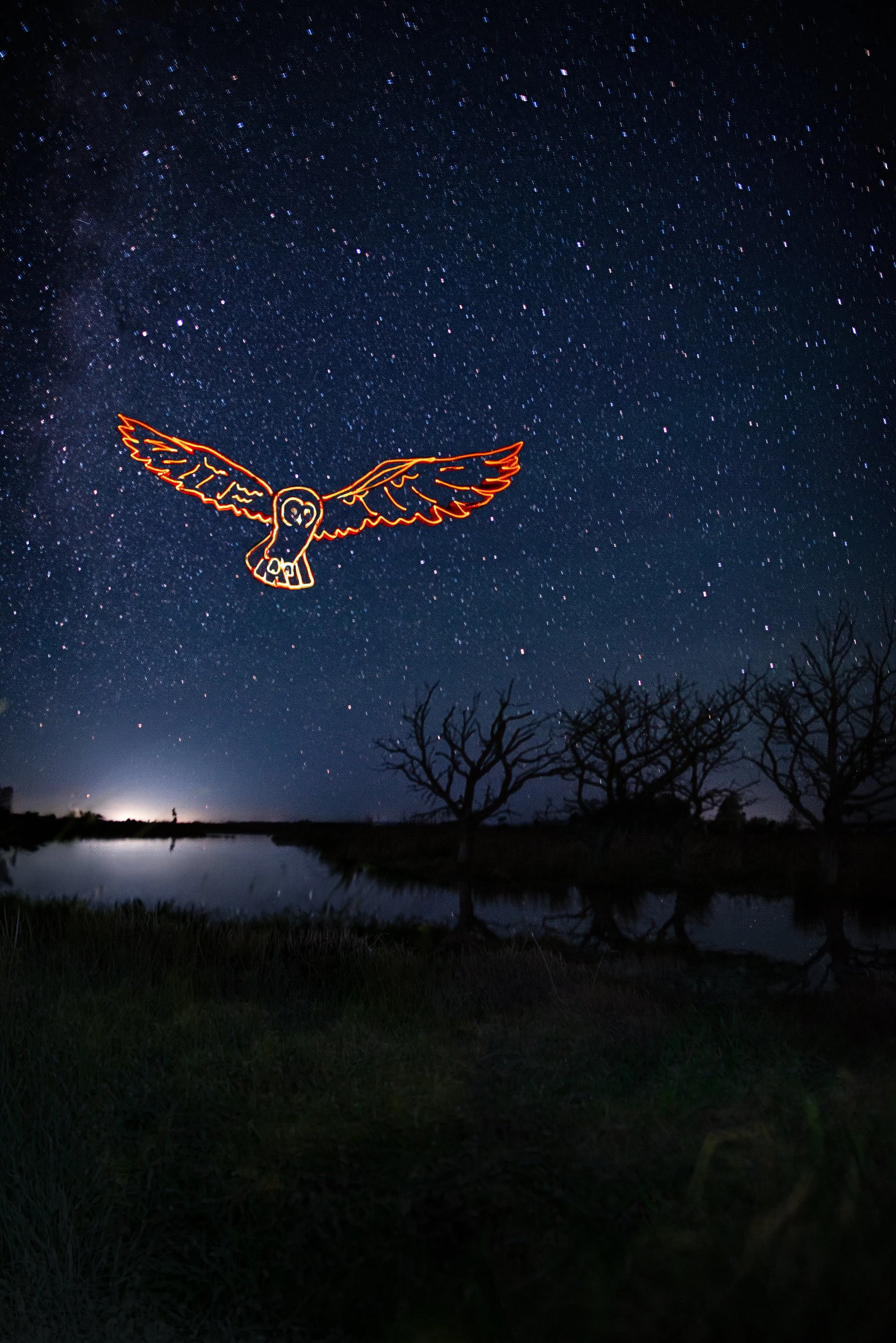 Owl-over-WairarapaSmall.jpg