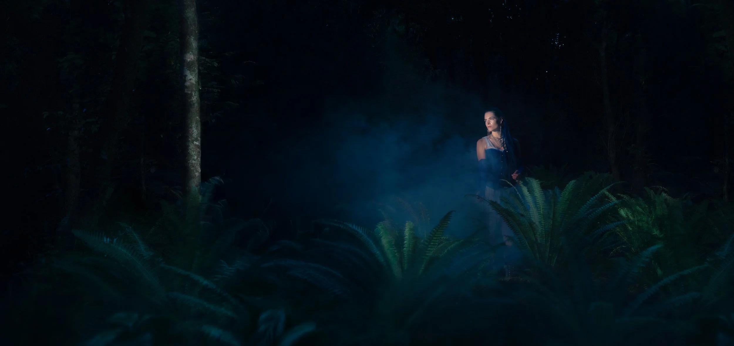 A woman with dark braided hair standing in a dark forest illuminated by soft blue light surrounded by ferns.