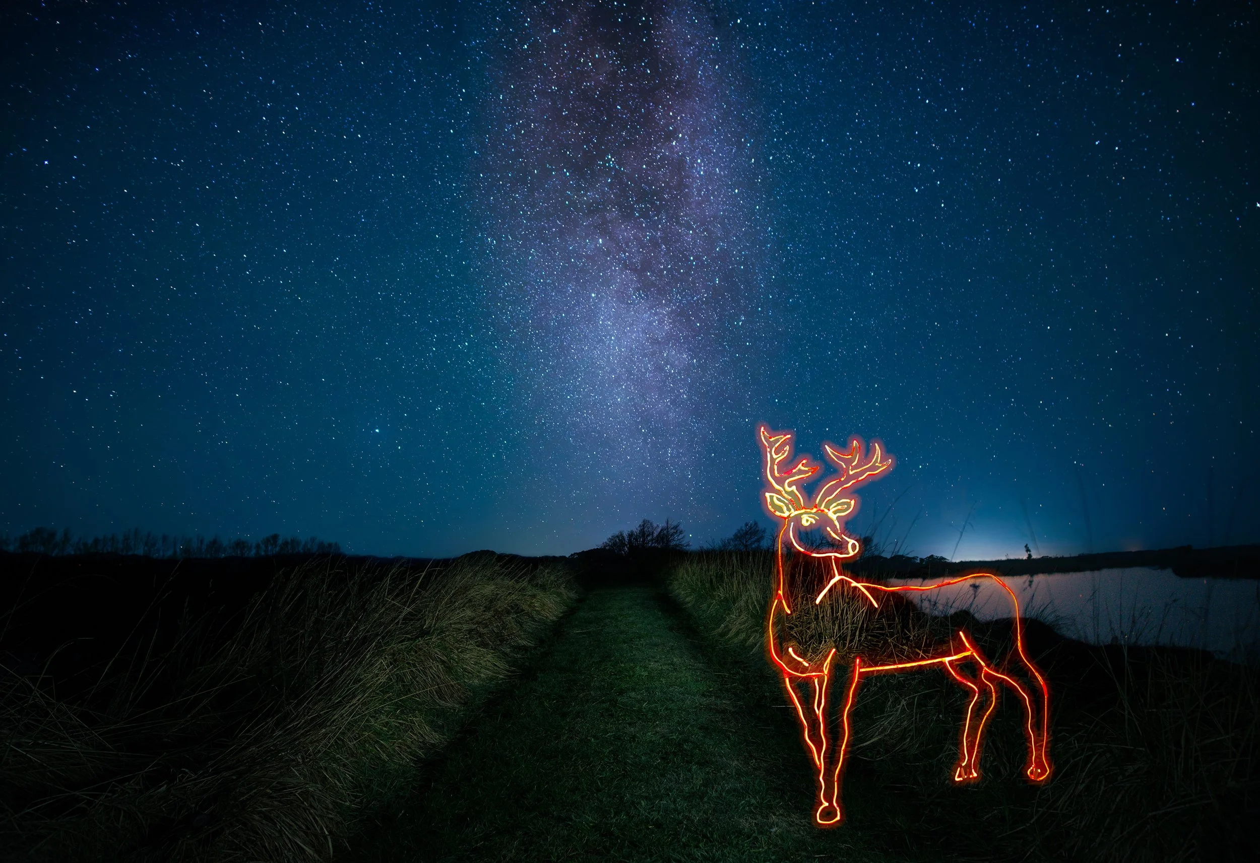 Deer-under-Wairarapa-Skies2small.jpg