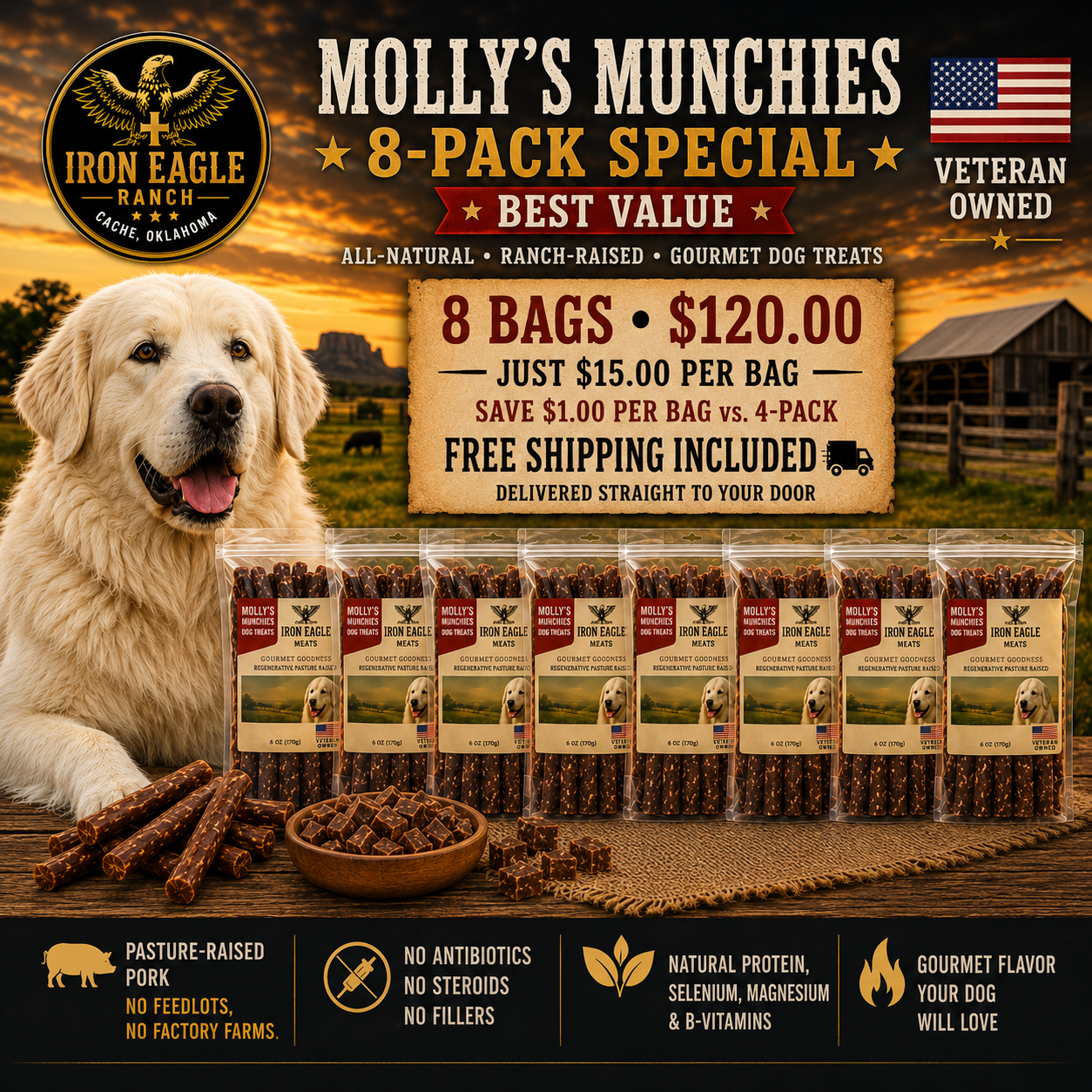 MOLLY'S MUNCHIES 8-PACK ⭐ BEST VALUE