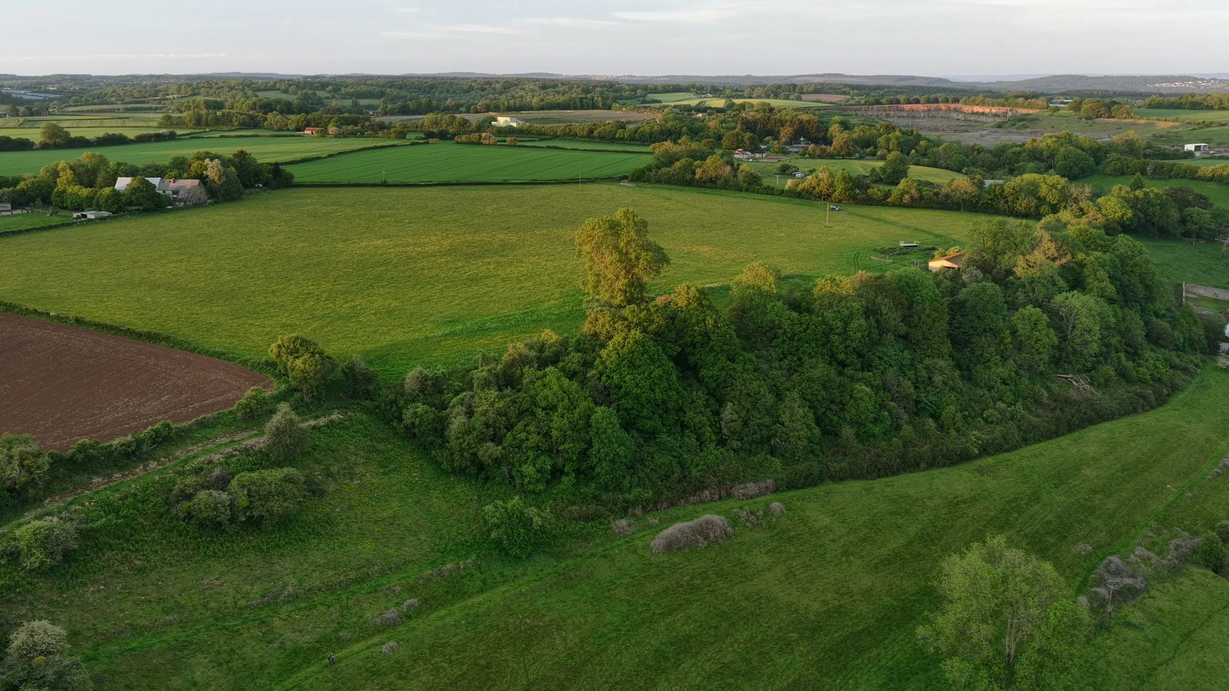 Aerial view of expansive grassland beside mature woodland, hedgerows and surrounding farmland.