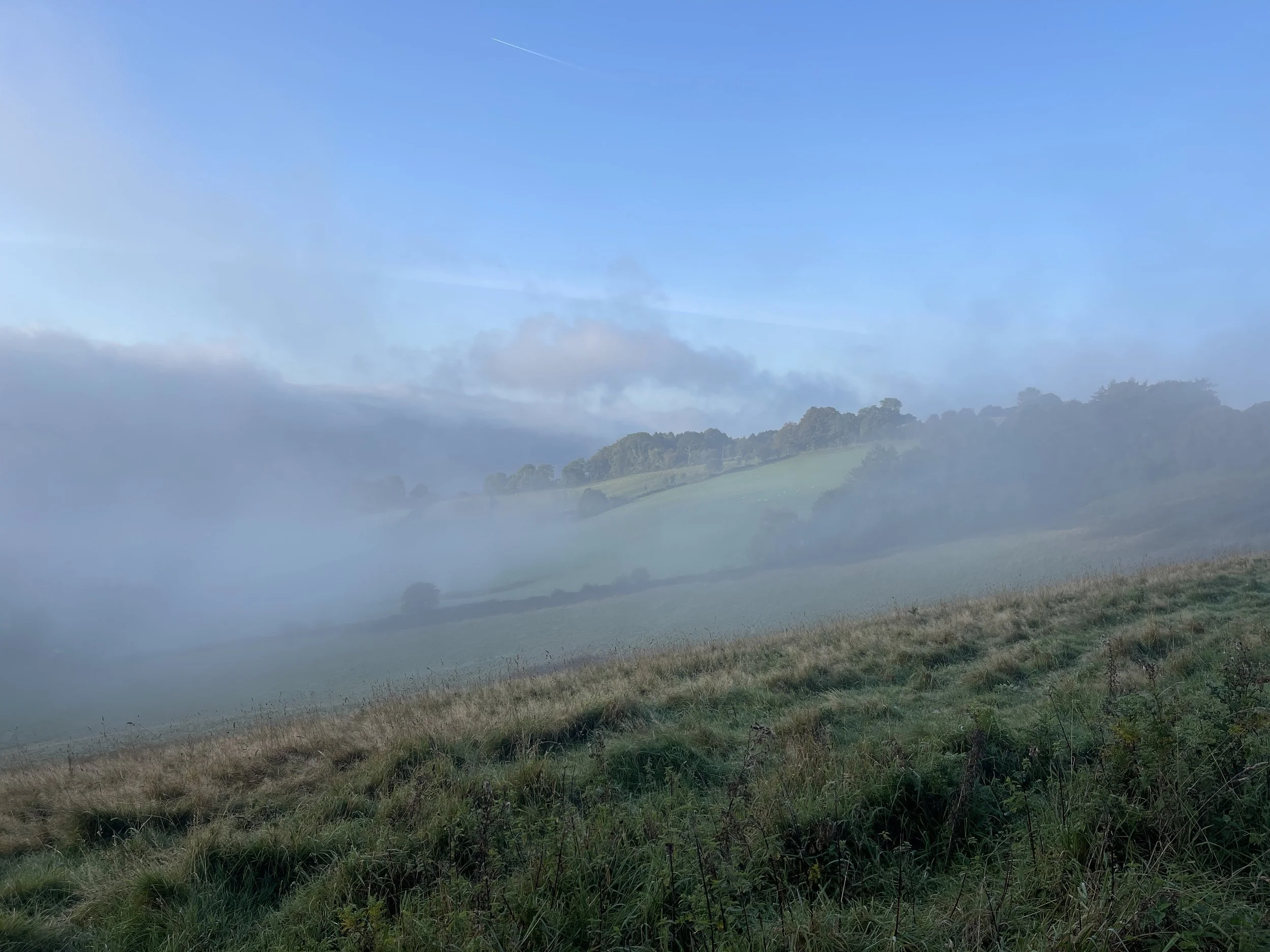 Mist settling across the Lower Valley, partially obscuring the meadow, hedgerows and surrounding slopes.