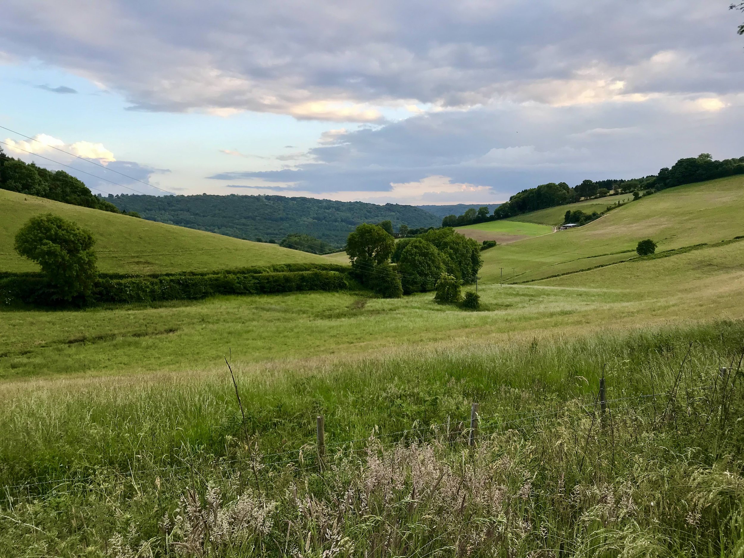 Long grass in the foreground overlooking the Lower Valley at From Stone To Sky, with rolling meadow, hedgerows and woodland beyond.