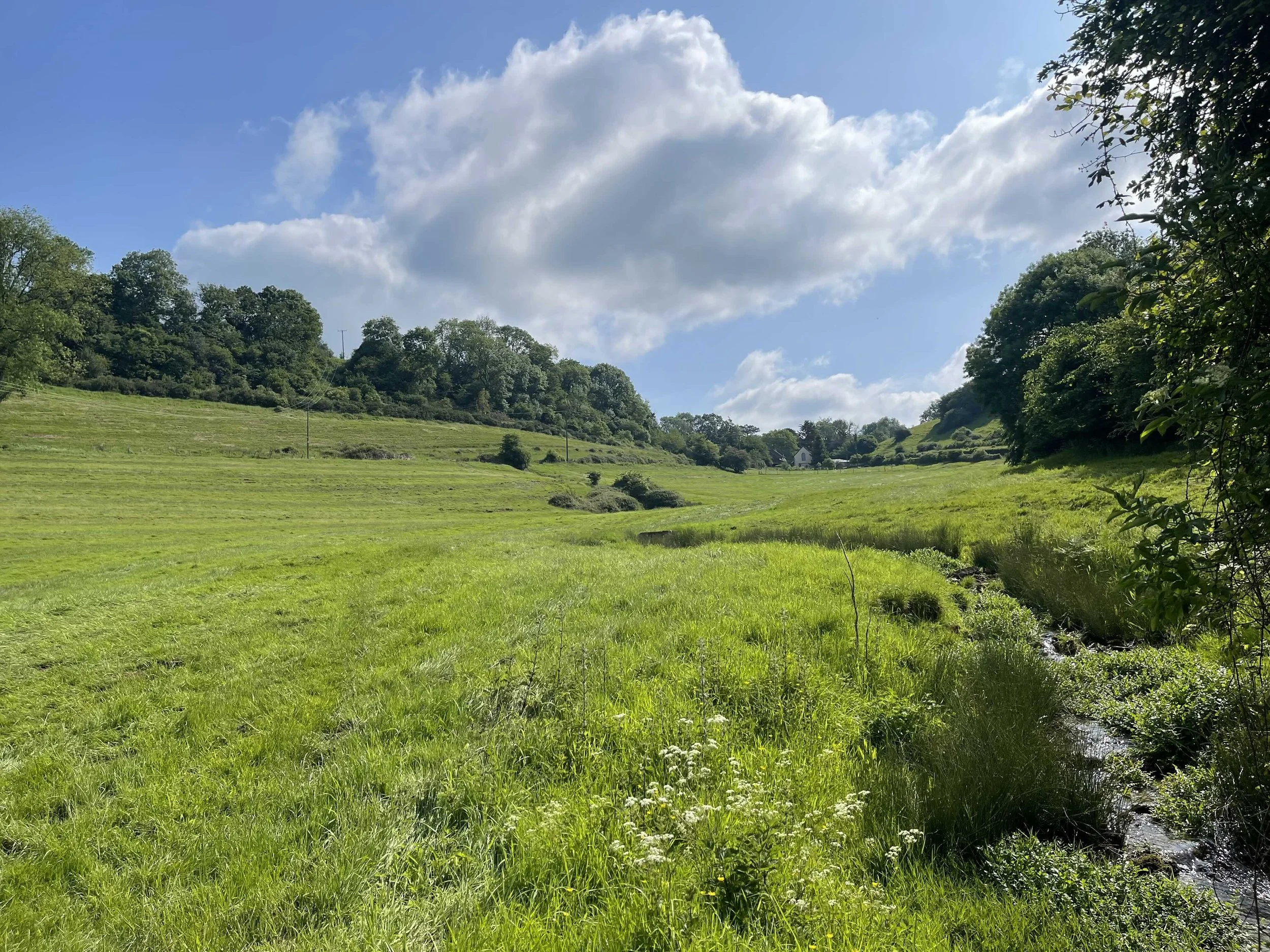 Ground-level view through the Lower Valley at From Stone To Sky, with open meadow, a stream, mature trees and wooded slopes.
