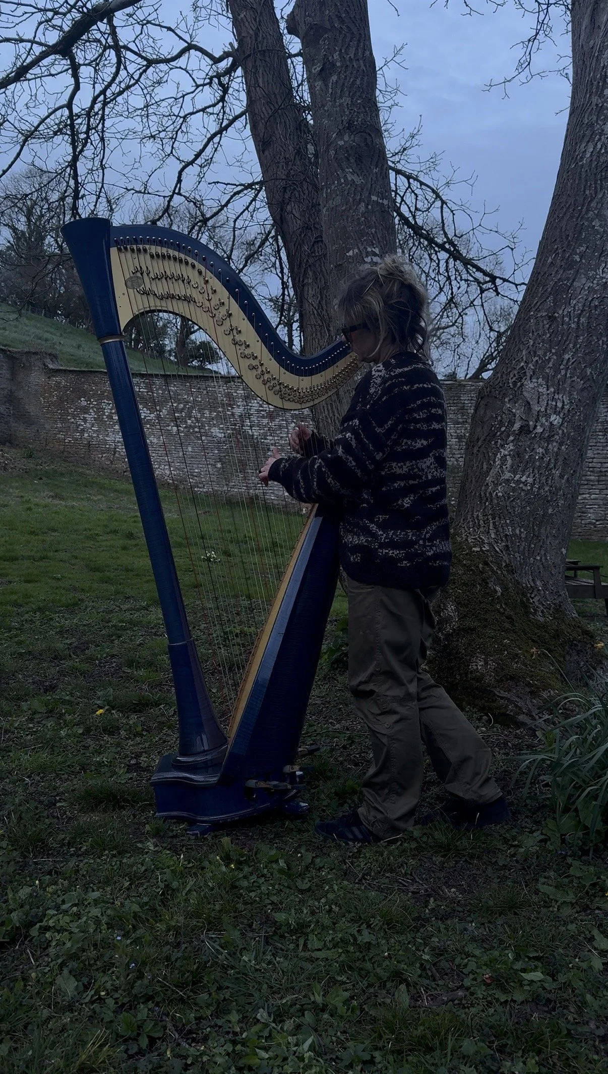 Harp beneath a walnut tree at From Stone To Sky during a Living Score recording session.