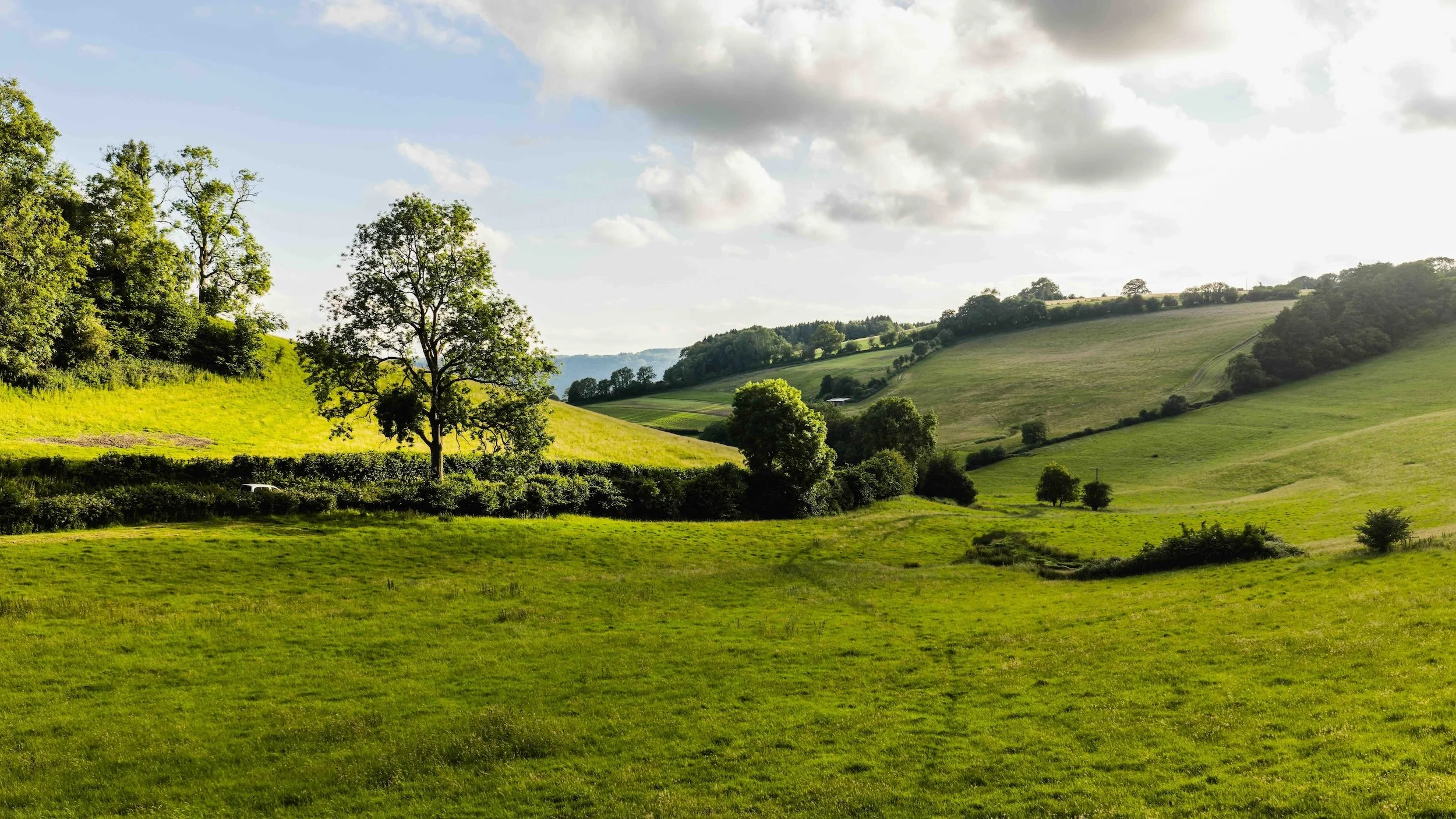 Ground-level view through the Lower Valley at From Stone To Sky, with open meadow, mature trees and sloping fields in warm evening light.