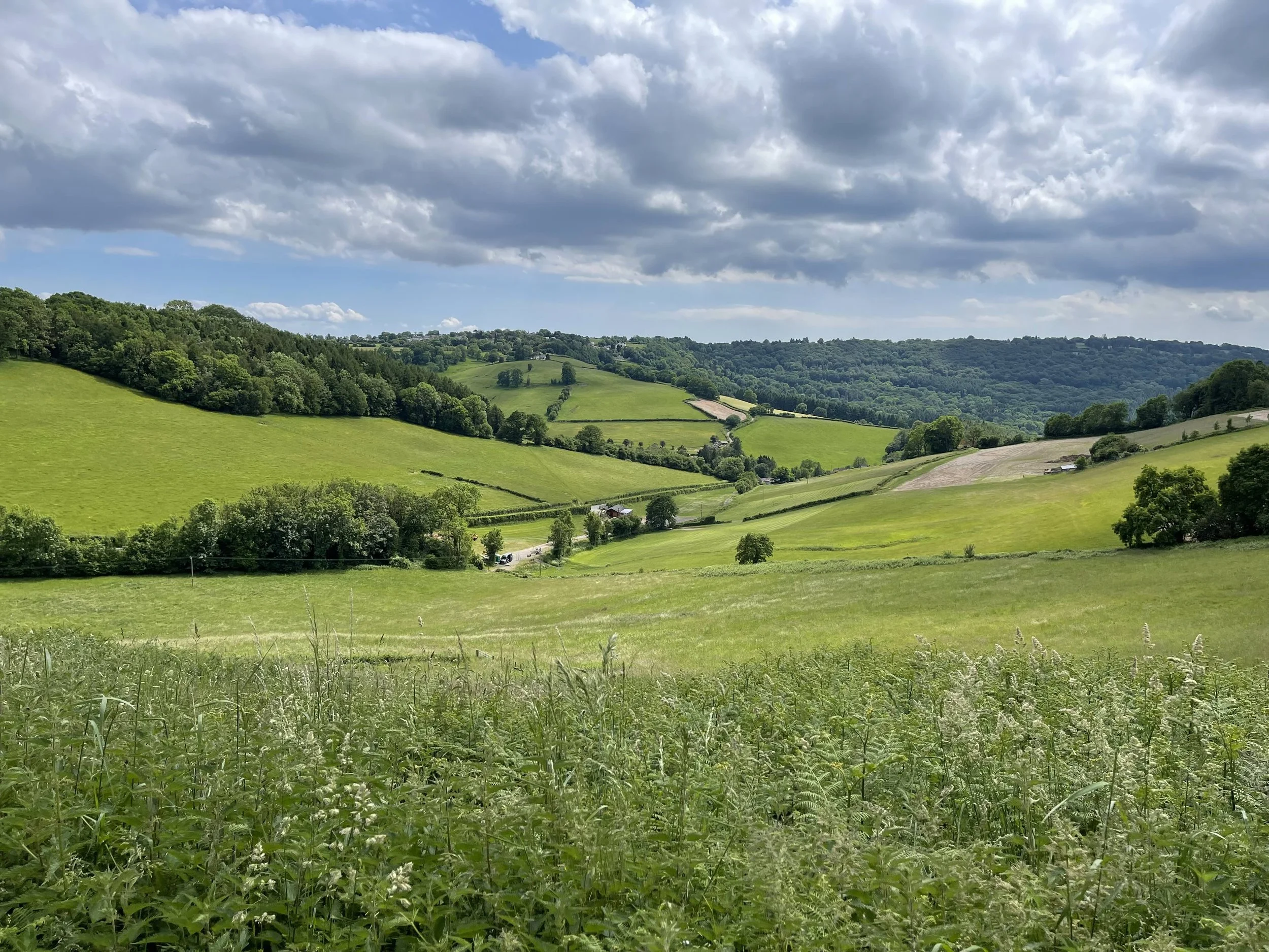 Wide view across the Lower Valley at From Stone To Sky, showing rolling meadow, changing levels, hedgerows, scattered trees and woodland beneath a cloud-filled sky.