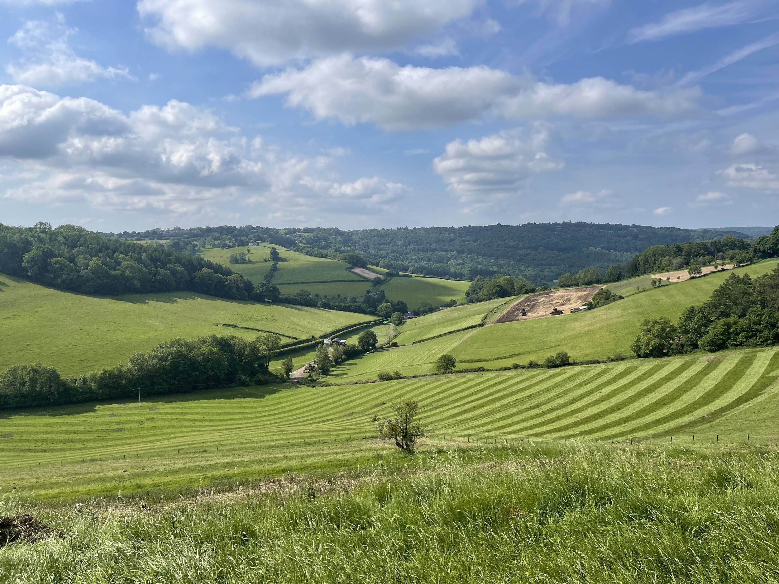 View across the Lower Valley showing sweeping meadow contours, mown lines, hedgerows and the rural road through the valley.