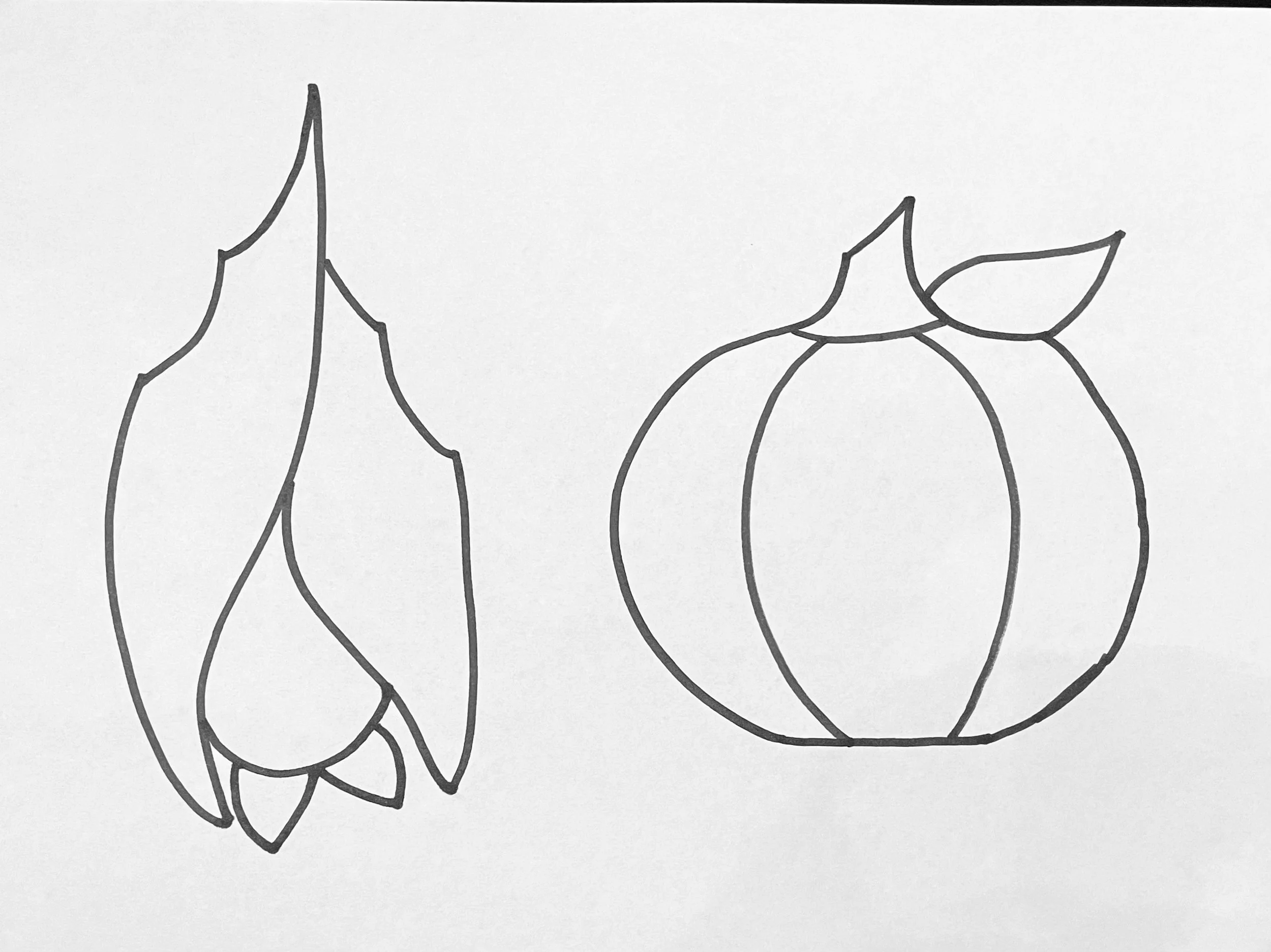 bat and pumpkin stained glass pattern