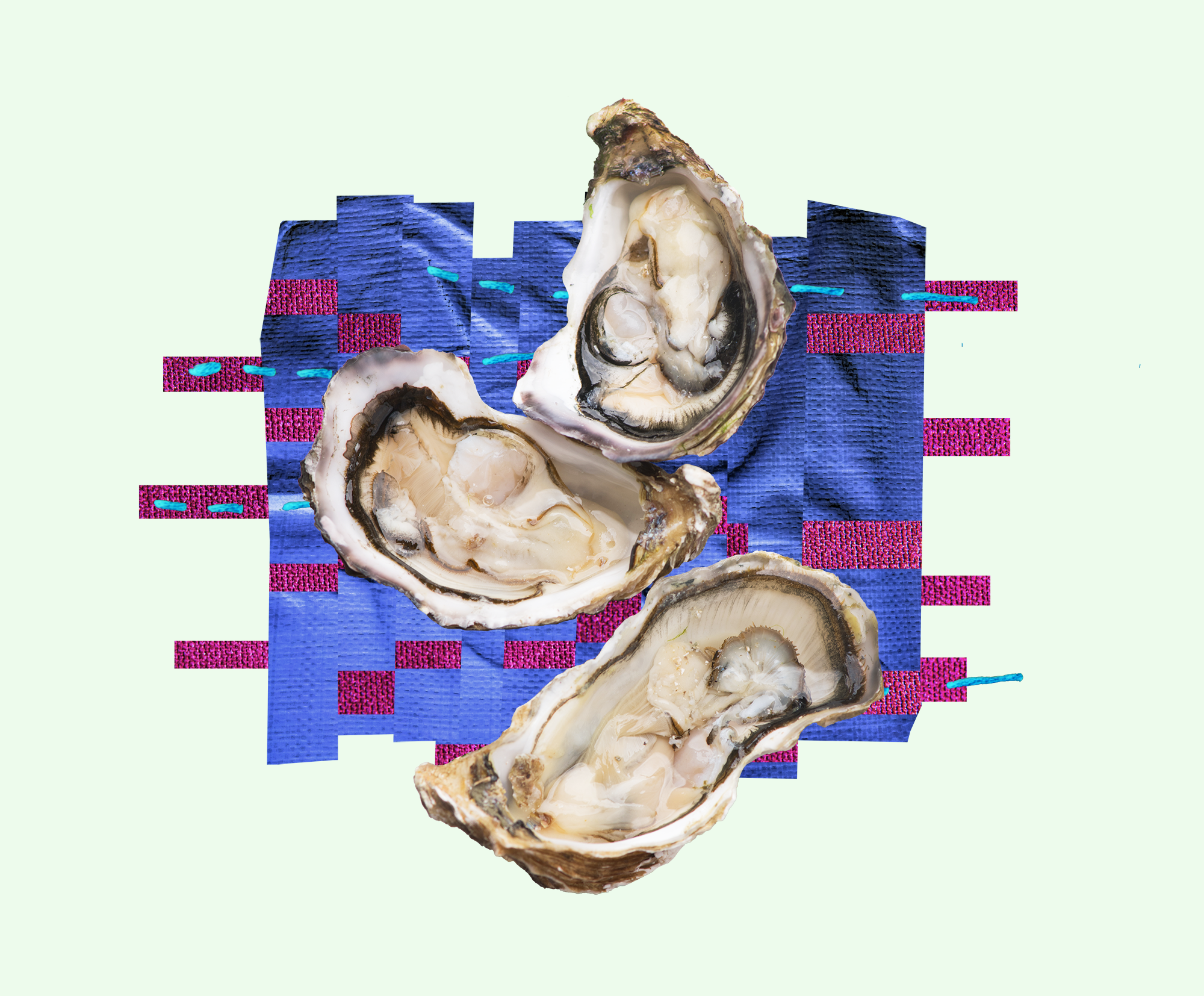 Oysters, 2025, by Molly Dickson: three oysters on woven blue and magenta fabric with stitched blue thread