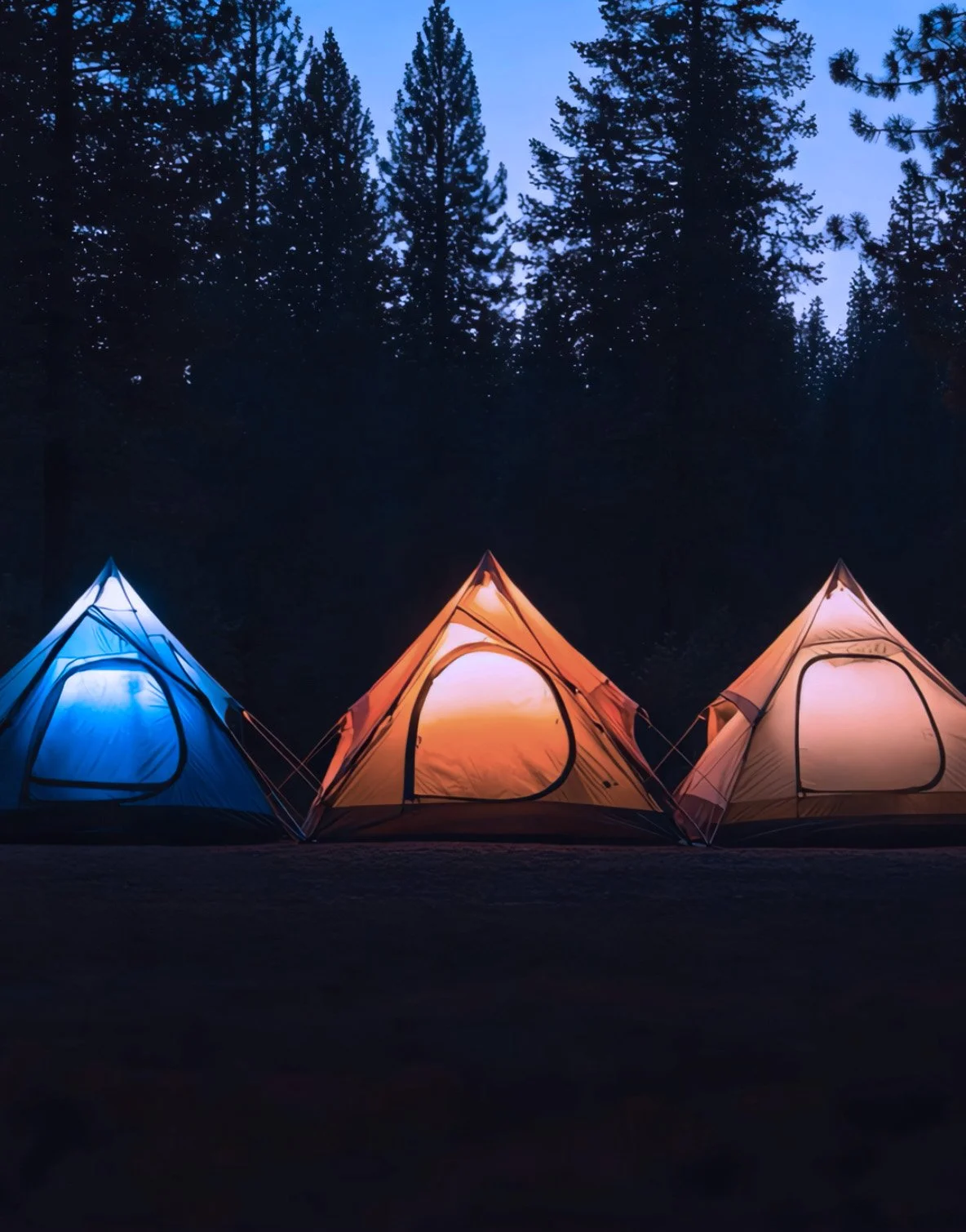 Three illuminated camping tents at night in a forest, with tall trees and starry sky in the background.
