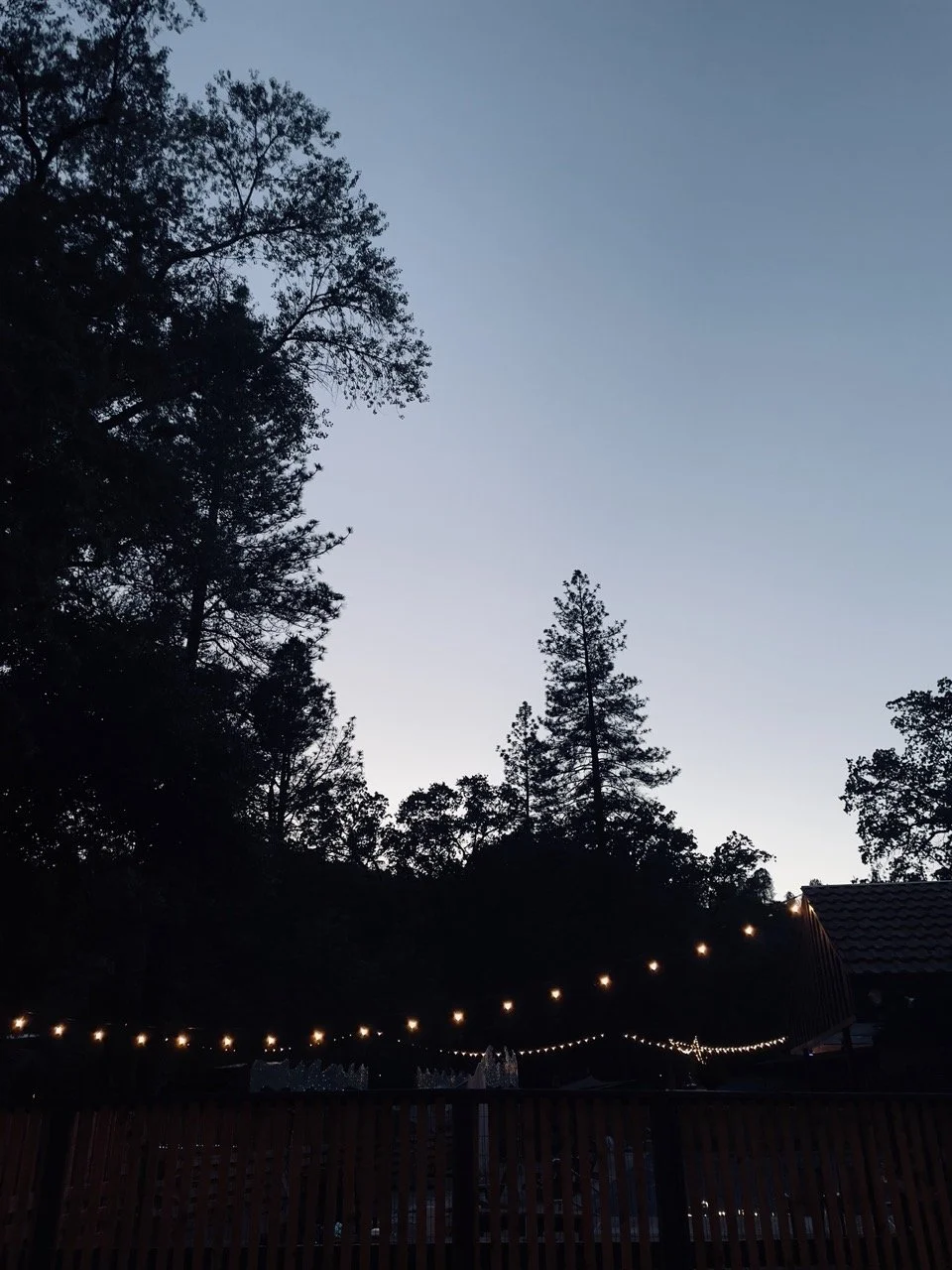 A sunset or twilight scene with tall trees silhouetted against a pale sky, decorated with string lights on a fence or railing in a backyard setting.