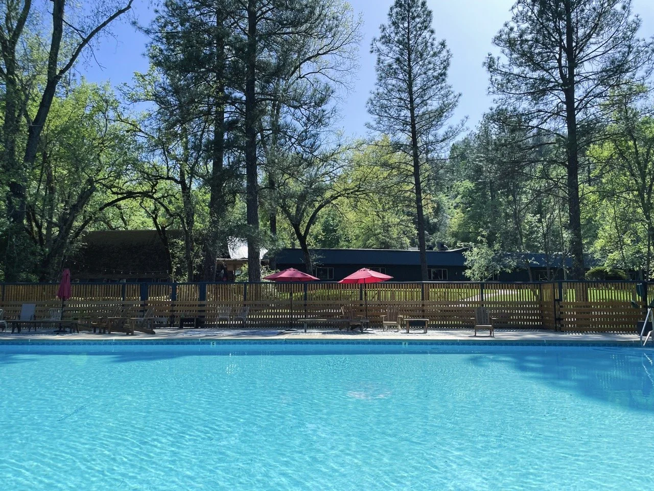 An outdoor swimming pool with clear blue water, surrounded by wooden lounge chairs and red umbrellas, with trees and a building in the background.