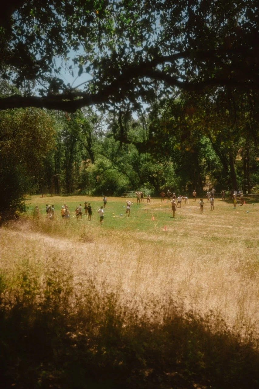 A group of children and adults playing on a grassy field in a park with tall trees and a clear sky.