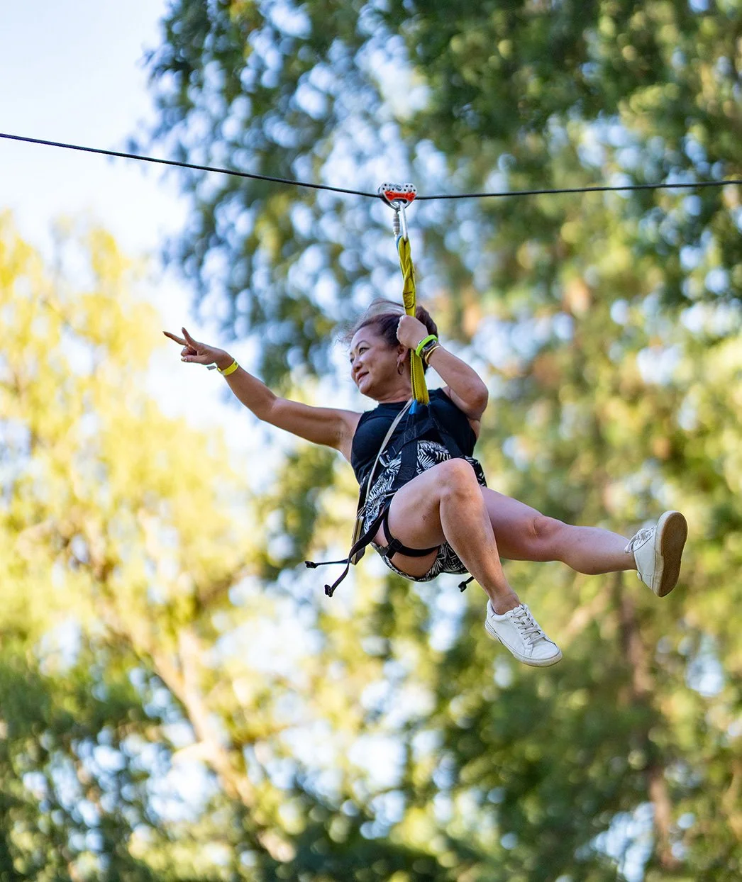 The Zipline