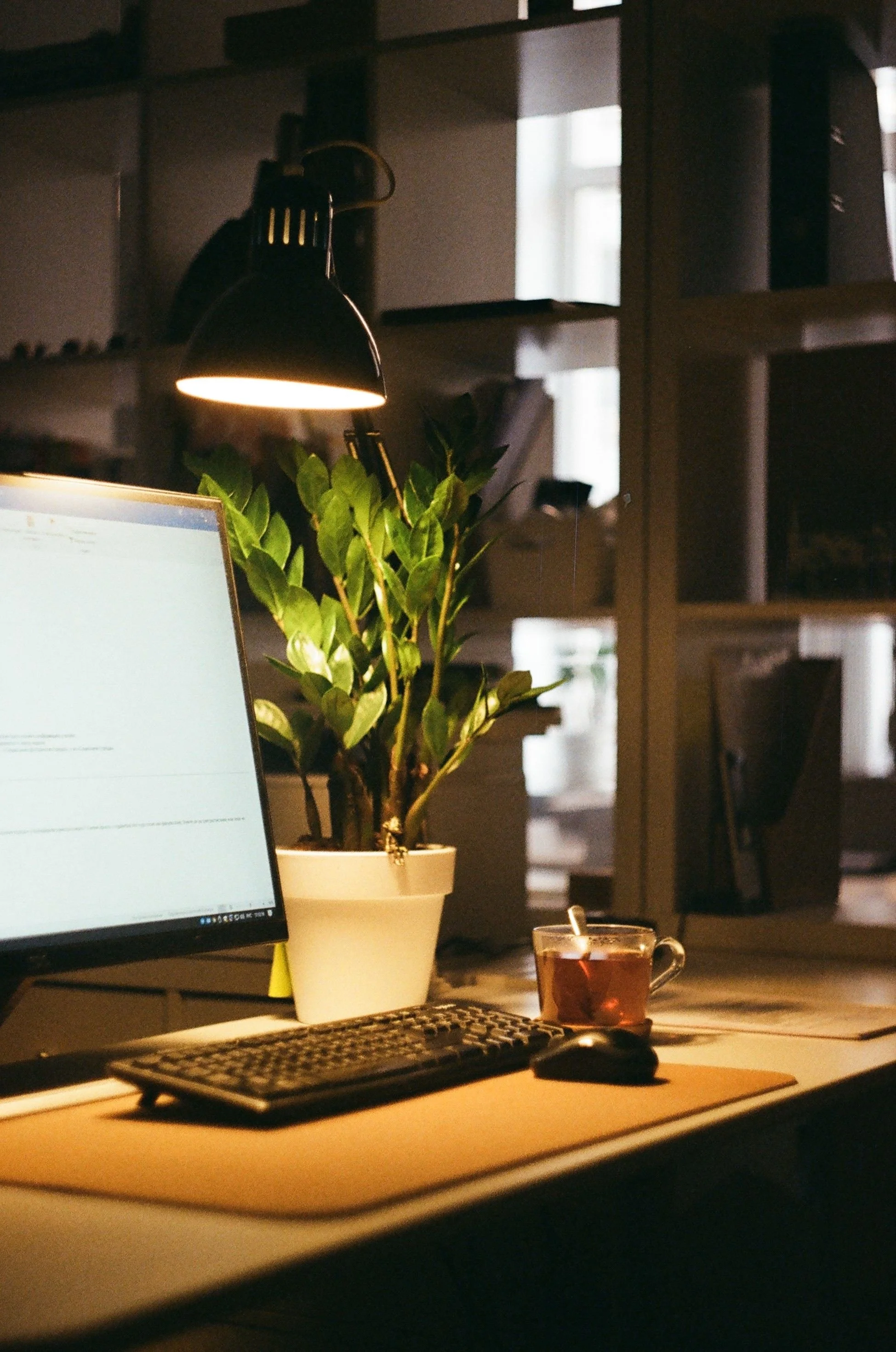 A computer workspace with a monitor, keyboard, mouse, a potted plant, a glass of tea, and a desk lamp. In the background, there are shelves with binders and a window.