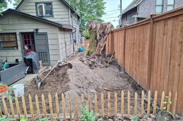Backyard with a large tree stump, freshly dug soil, gardening tools, and a protective wooden fence, with neighboring houses in the background.