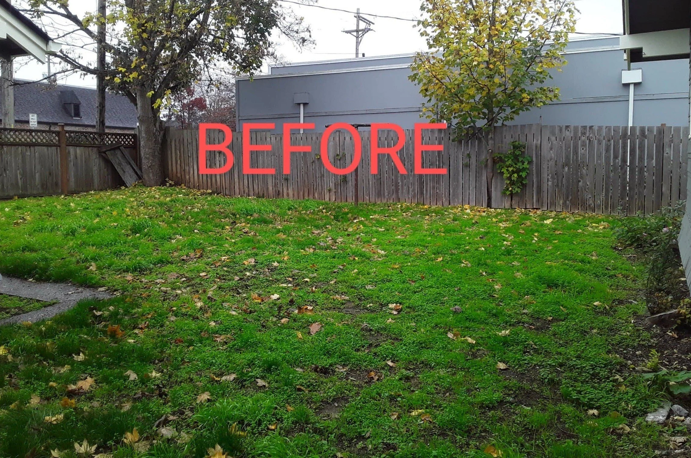 Backyard scene with a wooden fence, two trees with some yellow leaves, grass with fallen leaves, and a gray building in the background. The word 'BEFORE' is written in large red text across the middle of the image.