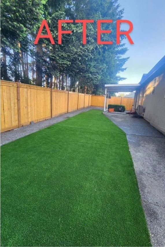Backyard with a new artificial grass lawn, wooden fence, and a house on the right side, with the word 'AFTER' written in red at the top.