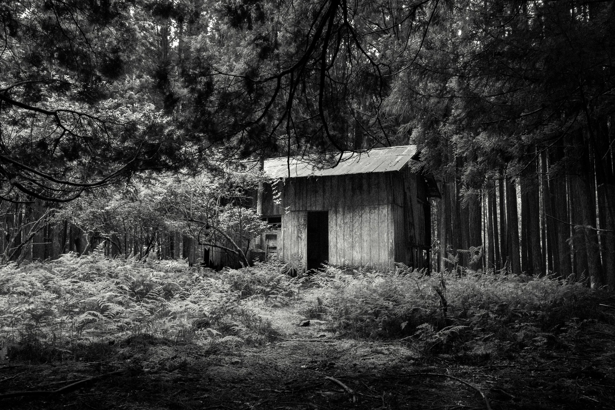 DSCF3133.jpg