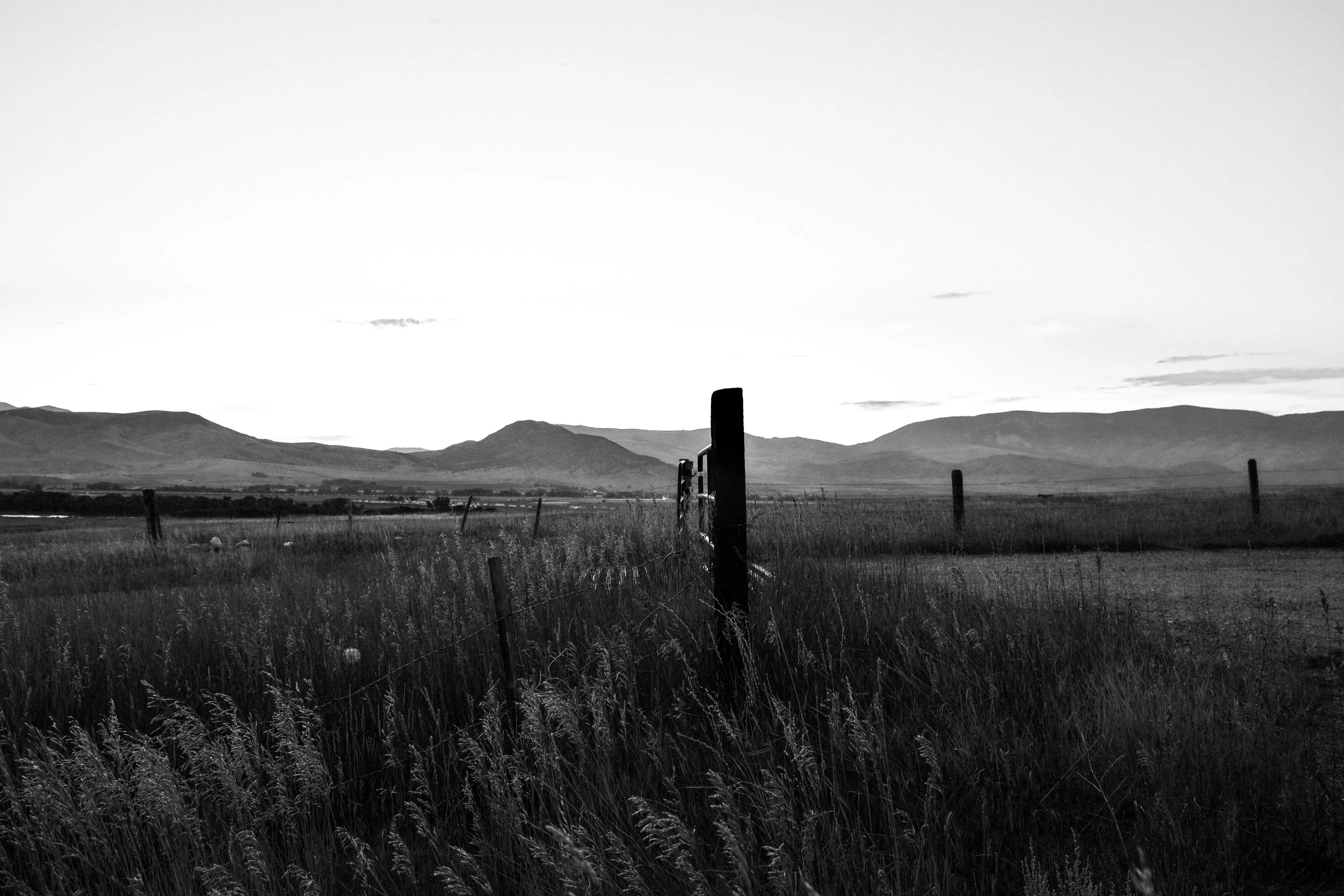 DSCF6505.jpg