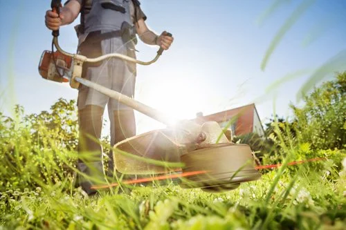 weed eating garden edges