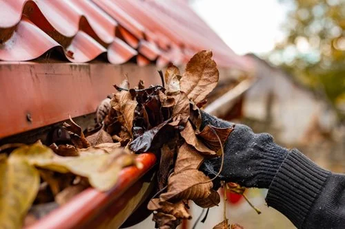 cleaning leaves and debris from gutters