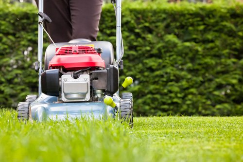 mowing grass lawn in christchurch