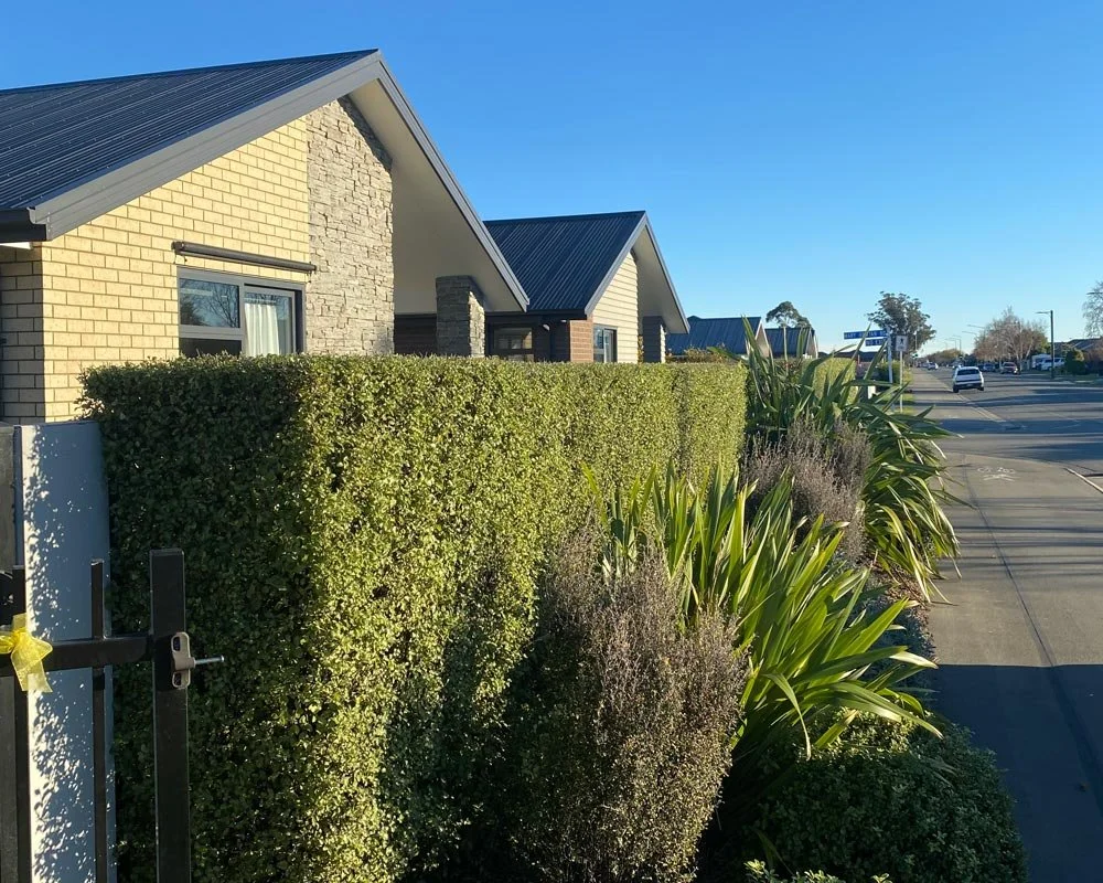 Residential neighborhood with houses featuring brick and siding exteriors, a trimmed hedge, and plants lining the sidewalk under a clear blue sky.