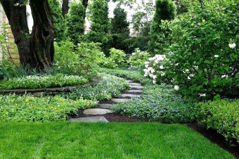 A lush garden with a stone pathway curving through it, surrounded by various green plants and shrubs, including white flowering bushes, and tall trees in the background.