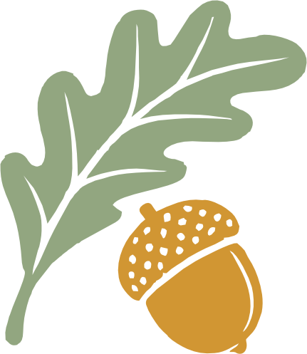 Oak Pointe Studio branding. Oak leaf and acorn icon to represent that joy can grow from the smallest seed.