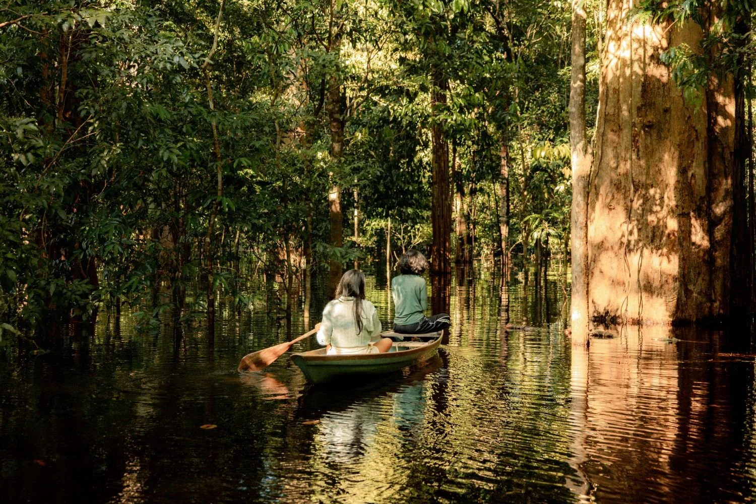 O Pulso das Águas: Conheça a Amazônia da Seca e a Amazônia da Cheia