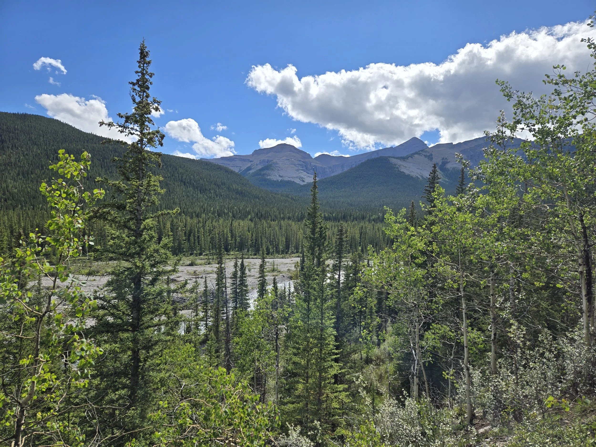 A landscape view of a forested mountain range under a blue sky with clouds.