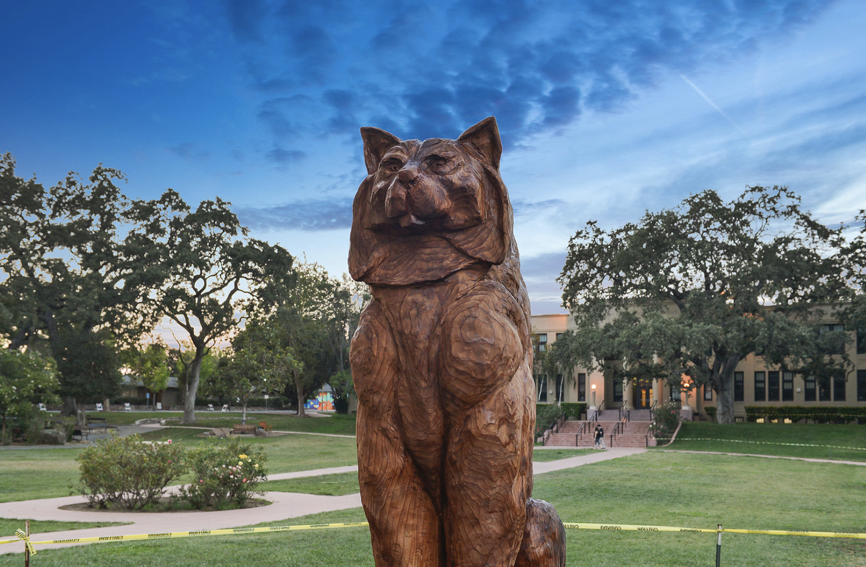 carved a large wildcat from a Sequoia tree on the Los Gatos High School campus.