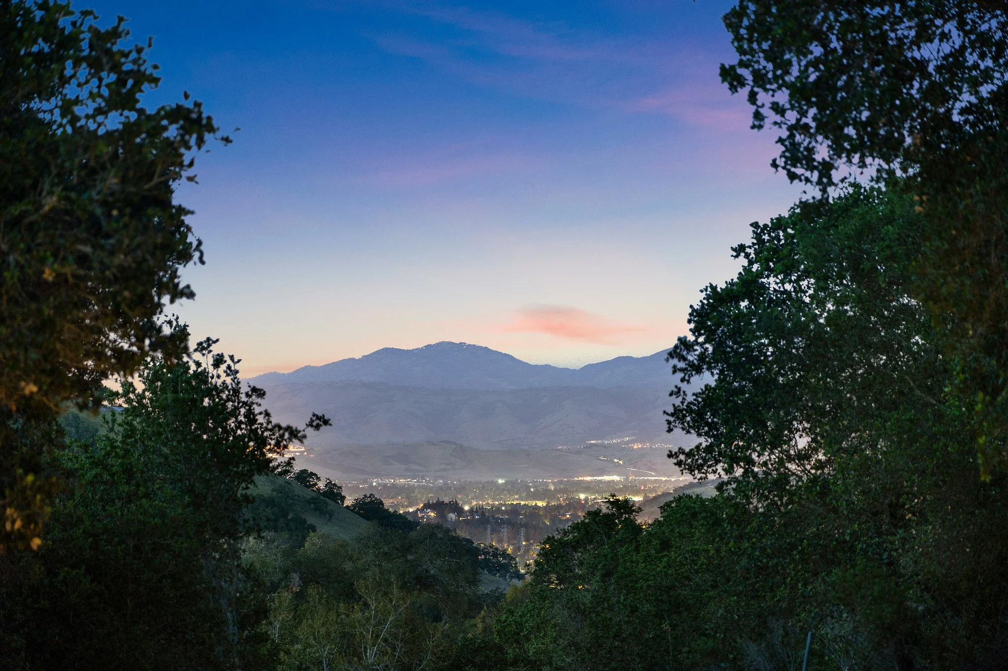 Dusk or dawn over mountains, framed by trees with city lights in the valley below.