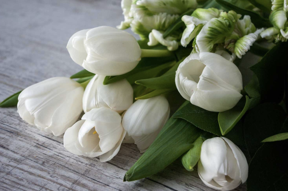 White tulips and flowers on a wooden surface.