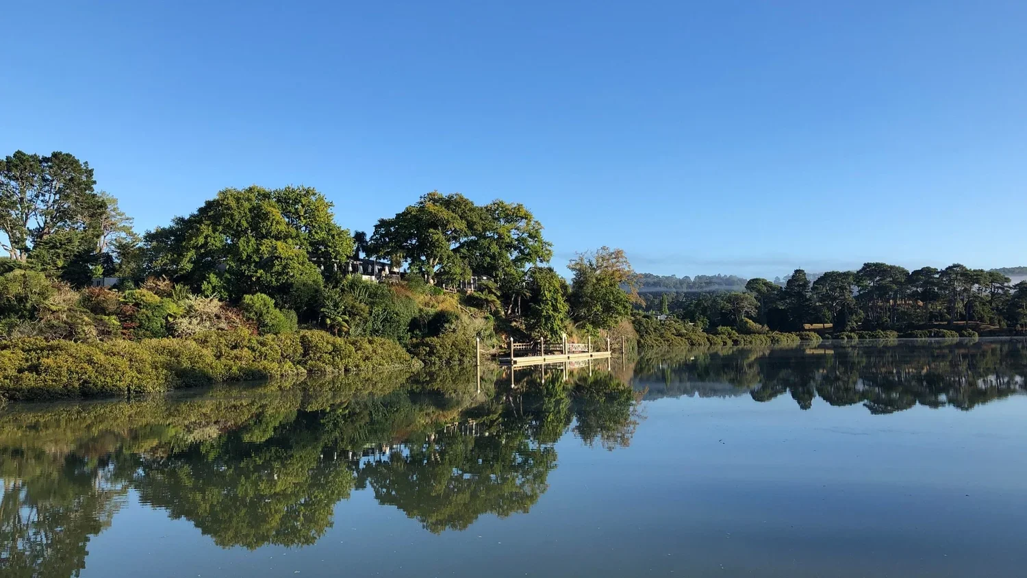 Riverhead landscape, North West Auckland